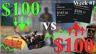 Investing $100 a WEEK into CS2 VS the Stock Market | Week 1
