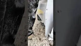 Cotton seed remover, cotton planting and seed removal,