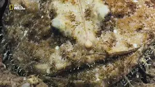 Islands of Europe and Underwater Documentary Part 1/4