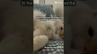 Mi mancate un sacco.. 🕊️🩵