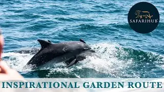 Inspirational Garden Route | South Africa Safari Tour Packages | Corona Safe Safari | Safarihub