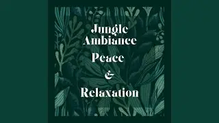 Calm Jungle Vibes for Restful Meditation