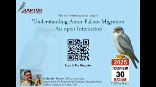 Understanding Amur Falcon Migration&mdash;Open Interaction with Dr Suresh Kumar | Raptor Network India