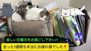 楽しい週末😃日曜日をお過ごし下さい❣️