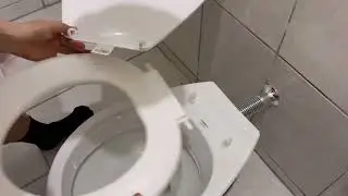 Como Instalar Qualquer Assento Sanit&aacute;rio