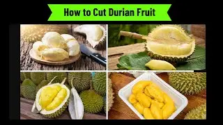 How to Cut Durian Fruit Easily ✅