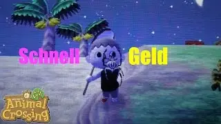 Animal Crossing: New Leaf schnell Sternis verdienen