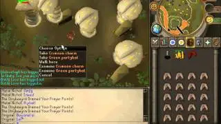 PvpMasters Rsps Green Partyhat Drop