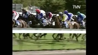 1997 Melbourne Cup - Might and Power