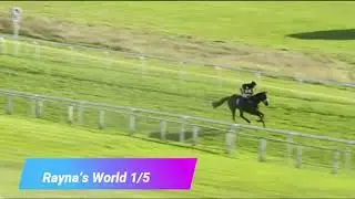 Hexham Horse Racing Full Highlights! October 25th 2020