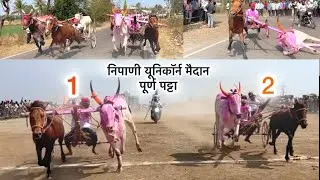 निपाणी यूनिकॉर्न मैदान पूर्ण पट्टा गोडा बेल 🐎🐎🐎