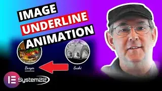 Elementor Image Underline Animation On Hover 👈👈