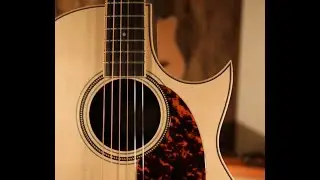 Larrivee C-03R TE Tommy Emmanuel One-Take Medley