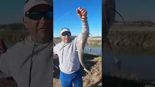 Я этого не ожидал! #g4outdoors #рыбалка #ловлябасса #lineadepesca