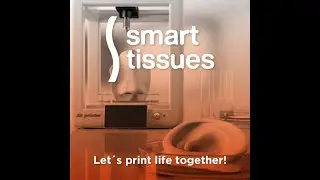 BioHunt 2020 Pitch - Smart Tissues