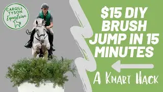 How to make a DIY brush jump for $15 in 15 minutes! A Kmart Hack - make your own budget show jumps!