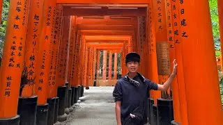 Day trip to Kyoto Japan with the kids visiting Fushimi Inari-Taisha Shrine and Yasaka Pagoda 