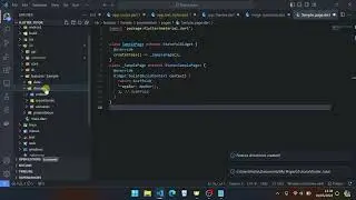 Generate Clean Architecture Template | Flutter Tips