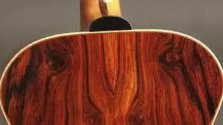 Guitar Gallery presents Zimnicki Flattop Guitar