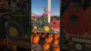 Pumpkin Patch time ! #halloween #needed #fun #family #noviolence