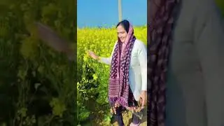 tere jachda a kala kala suit jatiye #preetiroyalvlogs #shortvideo #shortfeed #shortsviral #ytshorts
