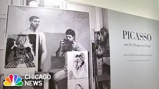 Elmhurst Art Museum introduces Picasso exhibit