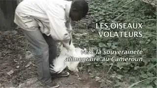 Les Oiseaux Volateurs-Vers la souverainet&eacute; alimentaire au Cameroun