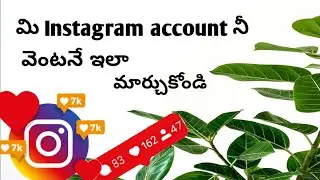 How to make your Instagram account to professional Account/android./Bhanu tech world👍