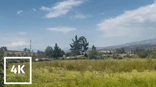 Quiet Garden Walk in Ecuador, Under the Sun (POV ASMR), Bird Sound Therapy