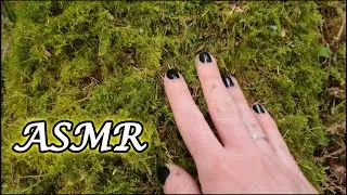 Nature ASMR - Grass and Moss Sounds