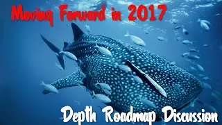 [Depth] Roadmap of 2017