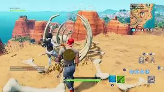 Fortnite Fortbyte #81 mountain top cactus wedge