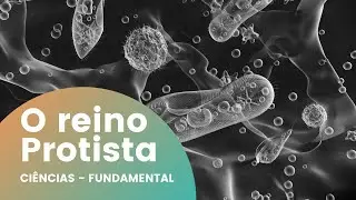 O REINO PROTISTA - Ciências Fundamental