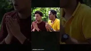 My Cat Is a Ghost 👻😂 | Funny Cat Video | Duaa ka Jahan