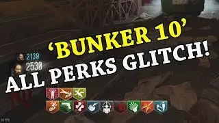 BUNKER 10 ALL PERKS GLITCH | Black Ops 3 Custom Zombies | NO PERKAHOLIC NEEDED