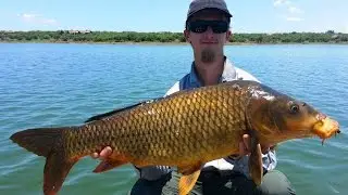 Catfish on fly, carp on lure