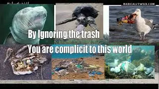 Puerto Rico : Lets stop ignoring the trash