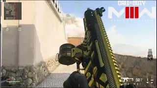 PRIVATE LABEL WEAPON BUNDLE MW3 DECIMATES EVERYONE IN FREE FOR ALL