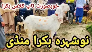 Khobrost Top class Bakra 😱||Nowshera Bakra Mandi update Peshawar 🥰||Bakra market Peshawar||