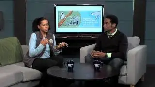Felicia and Morris Talk About California King Snakes and ZooCamp