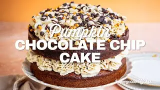 Pumpkin Chocolate Chip Cake | Supergolden Bakes