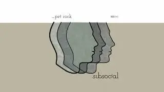 _pet rock - 120 royalty free drum loops & Ableton Drum Rack | Subsocial Studios