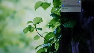 How to Connect to a WiFi Network on Macbook Air or Pro