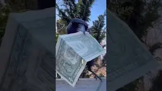 как подружиться с вороной: день 164