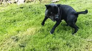 20190914 130503