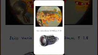 Why this Lens Is My Go-To!