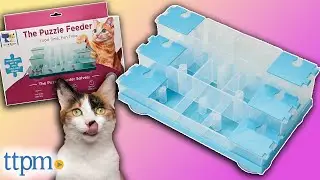 Cat Puzzle Feeder from Doc & Phoebe's Cat Co. Review!