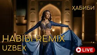 Habibi Remix Uzbekistan 2026 &ndash; Nonstop Arabic Night Drive Mix