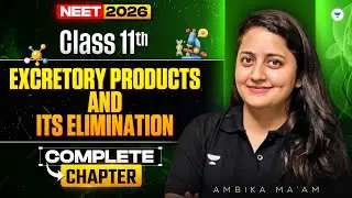 Excretory Products and its Elimination -2  | Class 11th | NEET 2026 | Ambika Mam