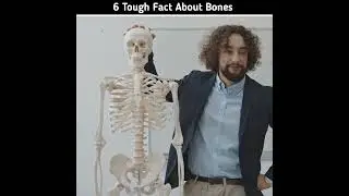 6 Tough Facts About Human Bones🧐 #shorts #fact-x